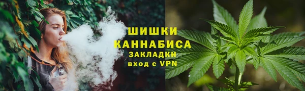 apvp Богородск