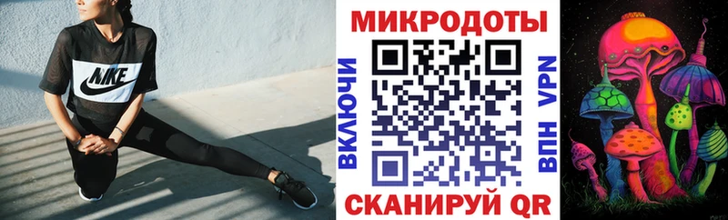 купить   Чишмы  kraken как зайти  Галлюциногенные грибы Psilocybe 