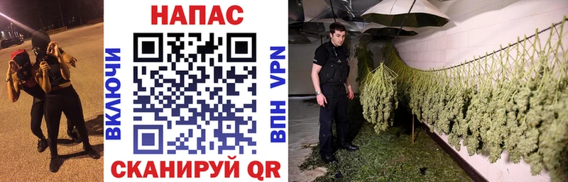 Конопля Ganja  МЕГА как войти  Чишмы 
